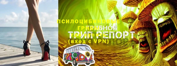 молекула духа Алзамай