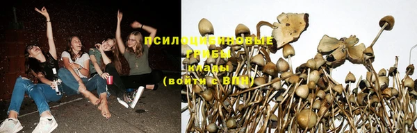 молекула духа Алзамай