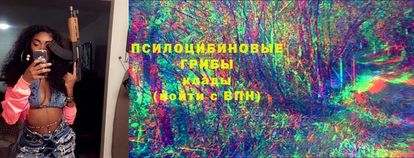 молекула духа Алзамай