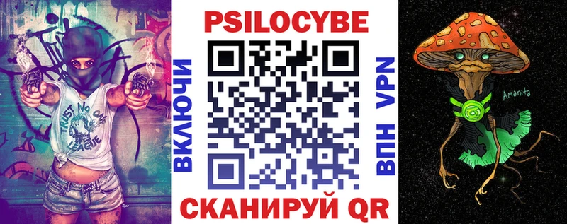 Псилоцибиновые грибы Psilocybine cubensis Урай