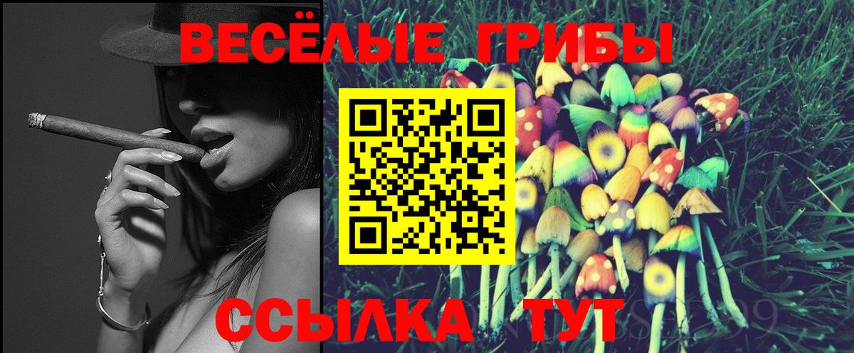 Псилоцибиновые грибы Cubensis Урай